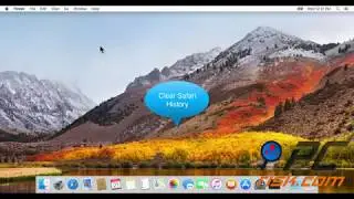 'Safari Web Content Quit unexpectedly' - how to fix on a Mac?