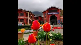 Beautiful View of IUST Kashmir| Islamic University Awantipora Kashmir