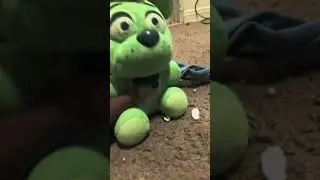 Circus Footy acting like a dinosaur war ￼