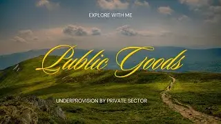 Private Sector Underprovision of Public Goods