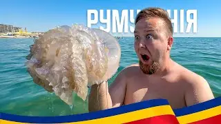 🇷🇴 Румунія 2024. Констанца. Курорт Мамая. Здоровенні медузи? Море, пляж. Огляд курорту Мамая