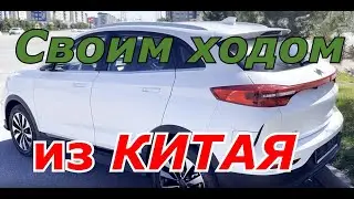 На электромобиле из Китая, а почему бы и НЕТ!