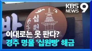 ‘십원빵’ 논란 끝…한은 “영리 목적 화폐도안 이용 허용” [9시 뉴스] / KBS  2024.08.29.