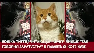 ЭТО КОШКА ТИТТИ, ЧИТАЮЩАЯ КНИГУ НИЦШЕ 