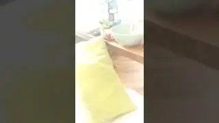 Утро Акулы