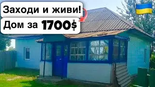 🇺🇦 Заходи и живи! Дом в селе за 1700$ Продажа недвижимости за копейки! Всё есть Уютное тихое село!