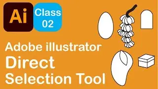 Adobe Illustrator Training - Class 2 - Direct Selection Tool   Pashto