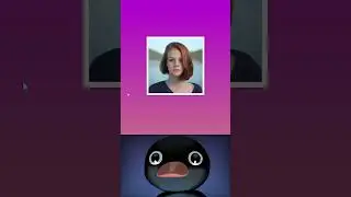 Awesome Image Card Hover Effects