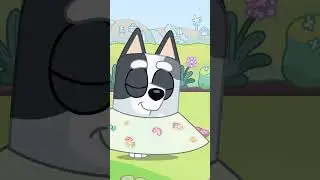 Bingo's ICONIC Babe Character 🕶️ | Bingo - Official Channel 