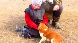 Алиса и собака