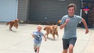 Drive by Dunk Challenge (Chased by dogs) | Thats Amazing