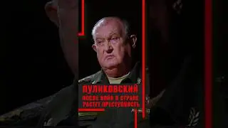 Генерал-лейтенант Пуликовский: после войн в стране растет преступность #политология #политолог