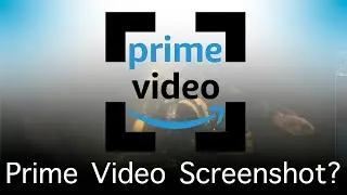 How To Screenshot Amazon Prime Video in Google Chrome