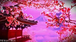 [FREE] Acoustic Guitar Type Beat - 