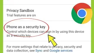 Chrome Browser Phone as a security Settings