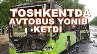 TOSHKENTDA AVTOBUS YONIB KULGA AYLANDI