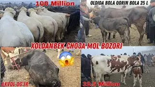 😱 Bunaqasi Kam Boladi Shaxrixon Xoldanbek CHOJA Mol Bozori.