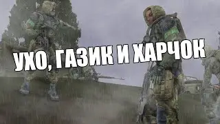 DAYZ STALKER RP - Свобода репе