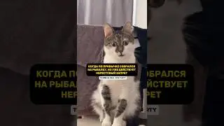 ЖИЗНЬ ТЛЕН 🥹🤣НЕРЕСТОВЫЙ ЗАПРЕТ 