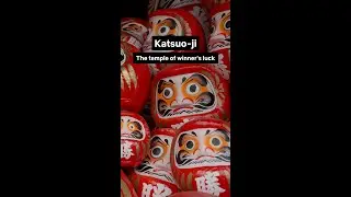 Have you ever been to Katsuo-ji Temple?