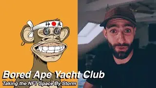 Bored Ape Yacht Club - Taking the NFT Space By Storm