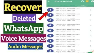 WhatsApp Deleted Voice Messages Recovery | Restore WhatsApp Voice Messages