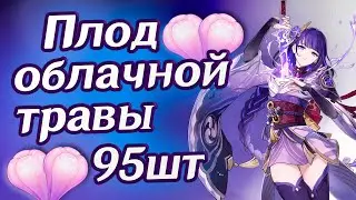 Все Плоды облачной травы в Инадзуме, Где Найти? Маршрут фарма для Сегуна Райден | Genshin Impact