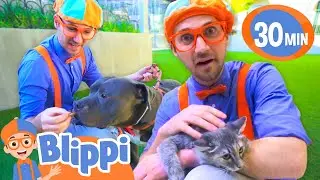 Blippi Plays With Puppies At The Animal Shelter | BEST OF BLIPPI TOYS | Educational Videos for Kids