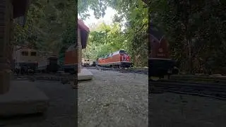 Switching loco #train #gardenrailway #shorts