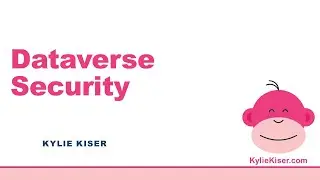 Dataverse Security: Introduction
