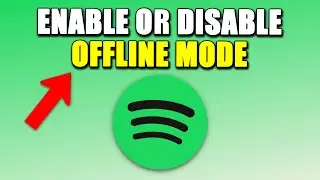 How To Enable/Disable Spotify Offline Mode (EASY!)