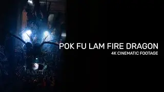 The Pok Fu Lam Village Fire Dragon 薄扶林村火龍