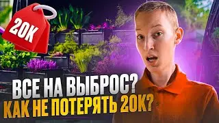 Испортил микрозелени на 20к? Бизнес на микрозелени!