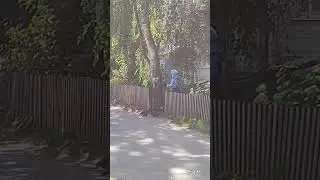 Август