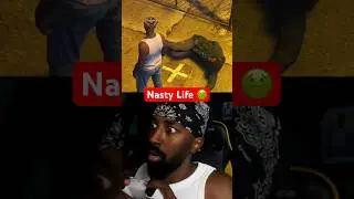 Nasty Life 🤢 
