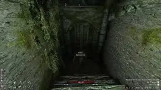 Skyrim RFAB SE XI. Путь дракона 11. Данжи магов и Регар Черная кровь