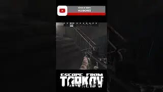 -3 фул кабанчика Tarkov 