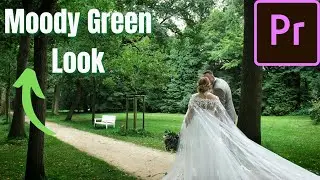 How to create the MOODY GREEN LOOK in Premiere pro without using LUTS | Color Grading