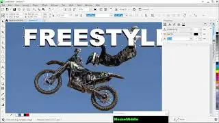 freestyle Corel draw