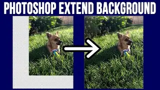 How to Extend the Background of a Photo in Adobe Photoshop Elements