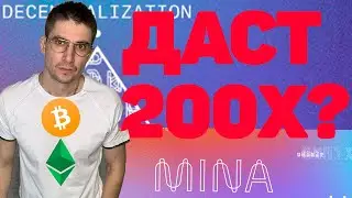 mina protocol сколько даст иксов? Как заработать на мина если не купил mina token на coinlist