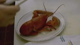 Why Anthony Bourdain loves this Cape Cod legendary restaurant (Parts Unknown: Massachusetts)