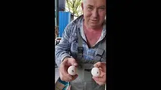 Яйцо со штампом и без, какая разница?