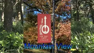 Mountain View Arkansas