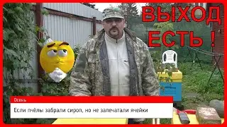📕 Если после подкормки пчел осенью сахарным сиропом они не запечатали ячейки 📕