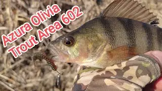 Весняний ультралайт ЛОВЛЯ ОКУНЯ на спінінг Azura Olivia Area 6'0" SUL