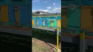 Модуль для ульев !