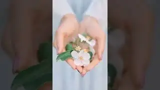 Доброе утро и хорошего дня!
