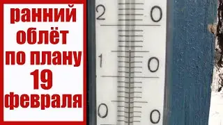 Запланированный ранний очистительный облёт в Саратовской области