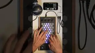 Exquis - @MoogSynthesizers Animoog Z "Modern Tauras" #mpe #midi #controller #iphone #ios #moog